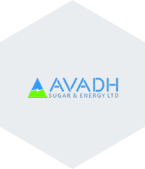 Avadh-Sugar-&-Energy