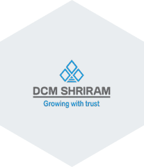 DCM-Shriram-Limited